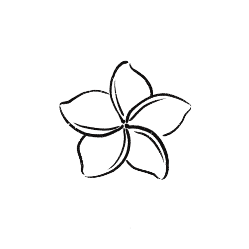 Plumeria Studio